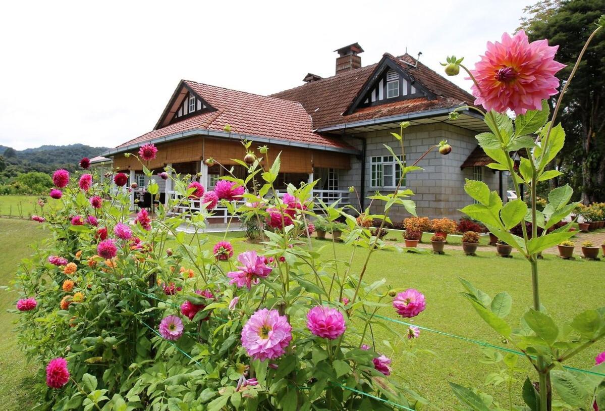 Bukit Lowick Bungalow Танах-Рата Экстерьер фото